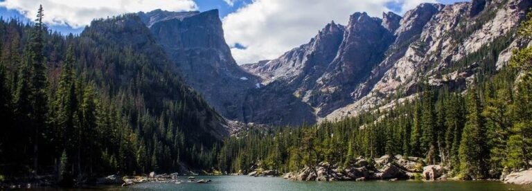 7-Easy-Methods-To-Enrich-The Environment