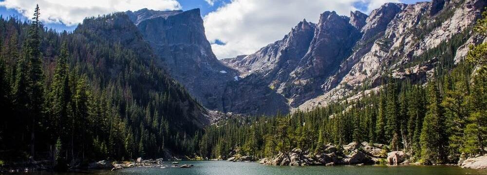 7-Easy-Methods-To-Enrich-The Environment
