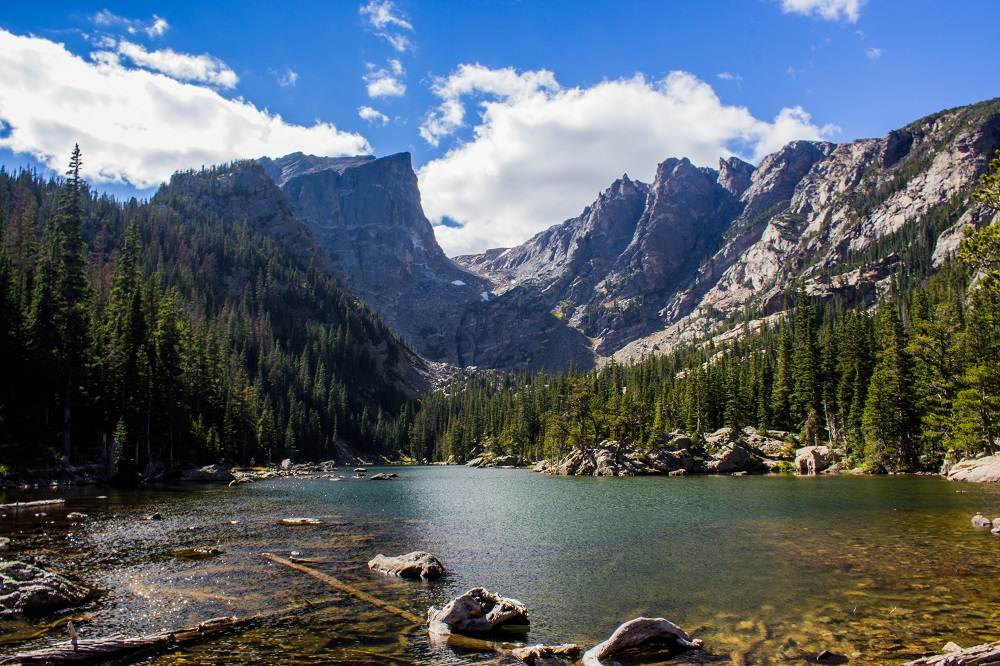 7-Easy-Methods-To-Enrich-The Environment