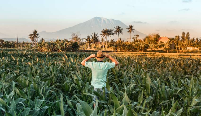 Climate–Smart Agriculture A Triple Win Approach