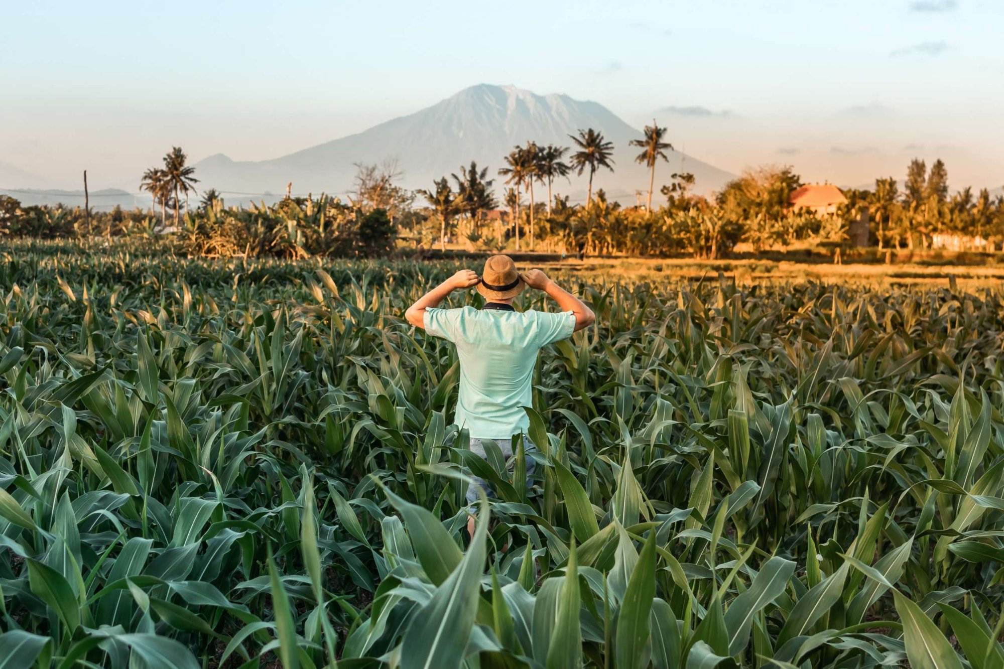 Climate–Smart Agriculture A Triple Win Approach