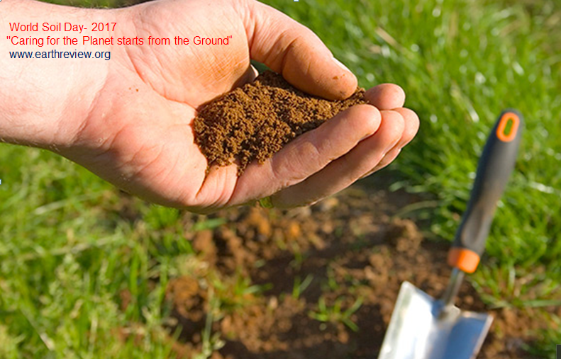 The-eight-Importent-Steps-to-Take-Care-of-Soil