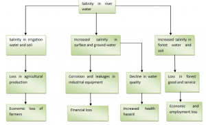 salinity problem in Bangladesh