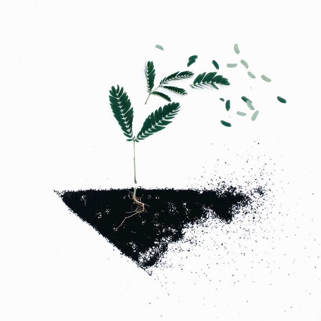 soil-chemistry-importance-of-soil-chemical-properties-earthreview-nayem-hasan-munna-soil-environmental-science-researcher-bangladesh