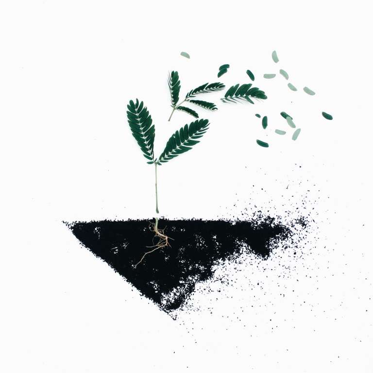 soil-chemistry-importance-of-soil-chemical-properties-earthreview-nayem-hasan-munna-soil-environmental-science-researcher-bangladesh