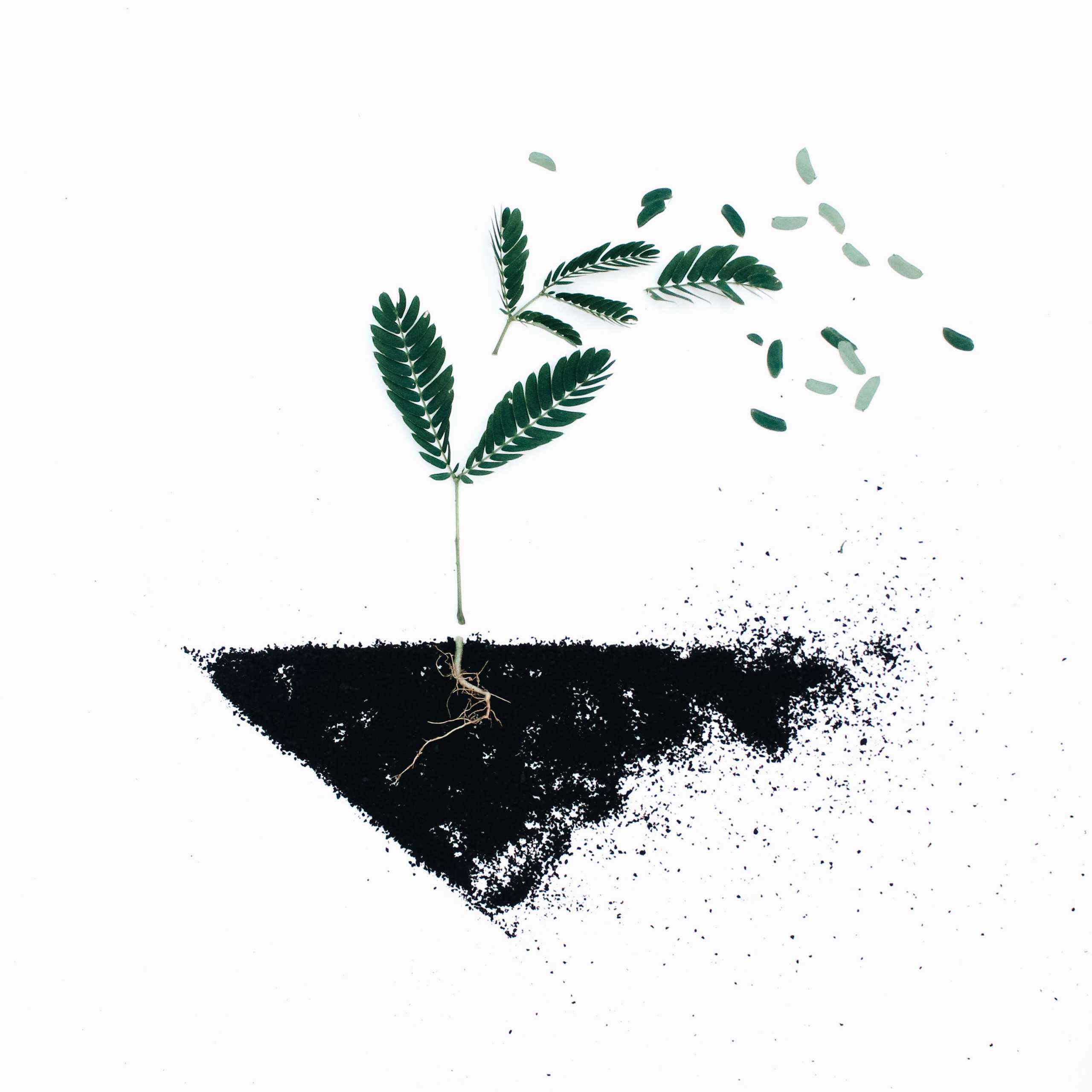soil-chemistry-importance-of-soil-chemical-properties-earthreview-nayem-hasan-munna-soil-environmental-science-researcher-bangladesh