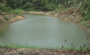 Integrated Watershed Management