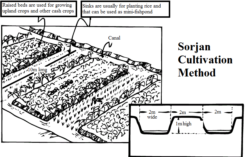 sarjon method