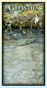 GELISOLS