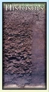 HISTOSOLS