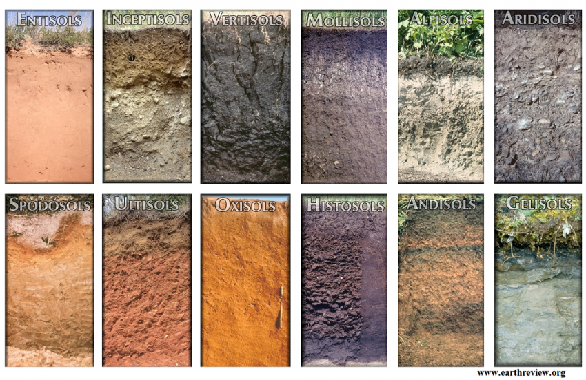 12 Soil Orders in Soil Taxonomy with Their Major Characteristics