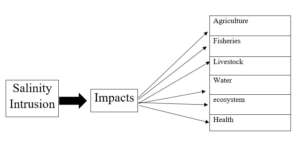 climate change in Bangladesh