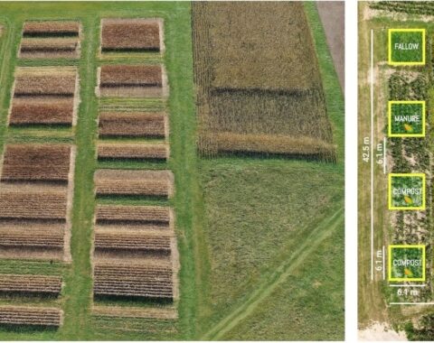 Long-Term No-Till Experiments