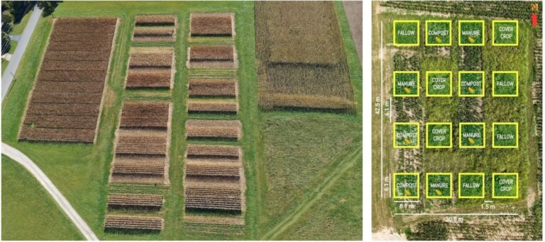 Long-Term No-Till Experiments