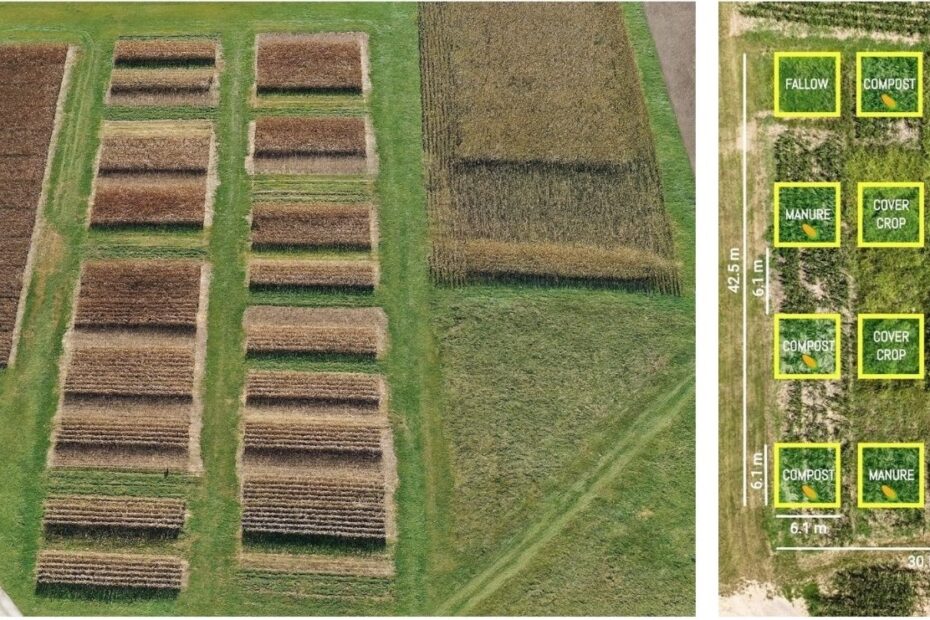 Long-Term No-Till Experiments