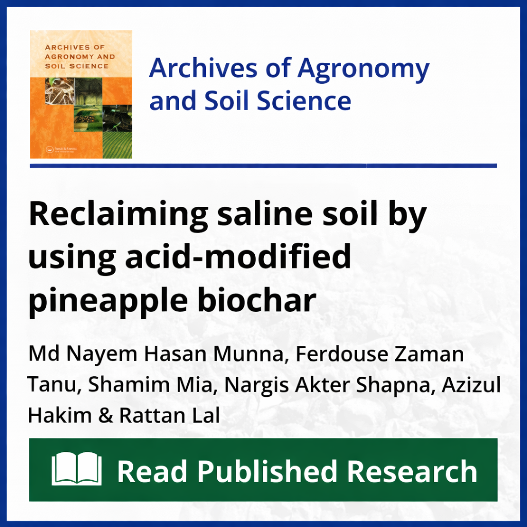 Reclaiming saline soil by using acid-modified pineapple biochar